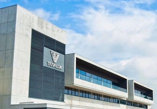 Grupo Trivalor